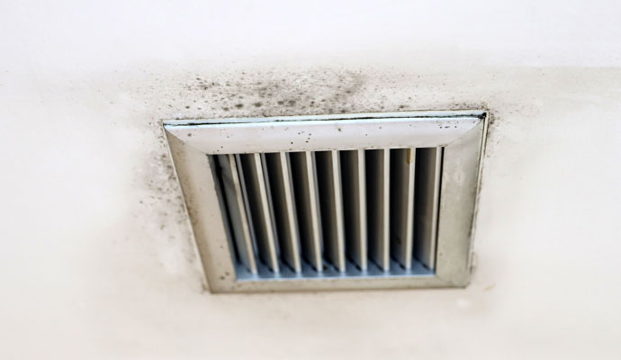 Black mold around ceiling air vent