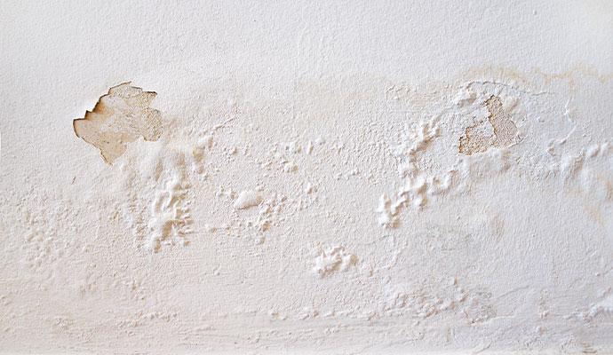 Blistering paint from water damage