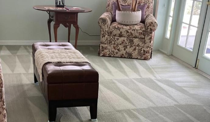 Freshly cleaned and vacuumed carpet in a residential living room.