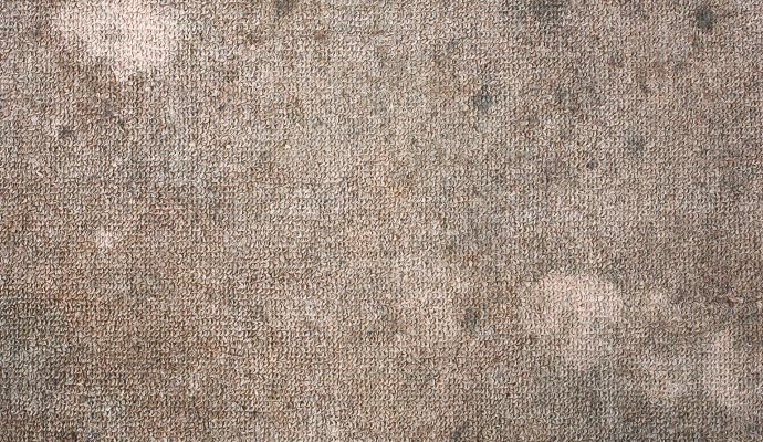 Odor Removal Services in Sarasota