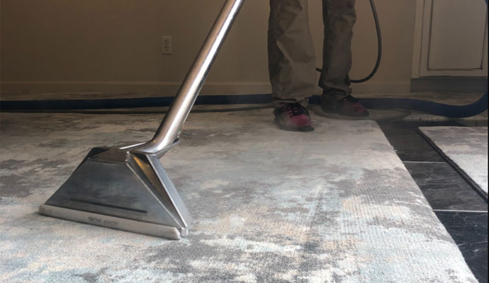 Professional steam cleaning for an area rug
