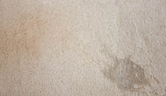 Stained carpet