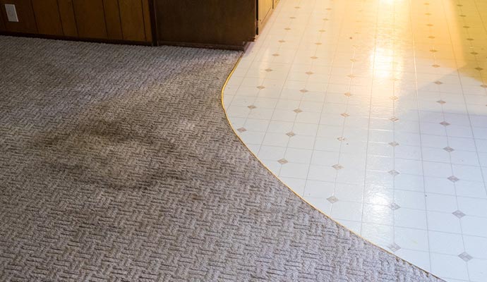 Stained carpet inside room