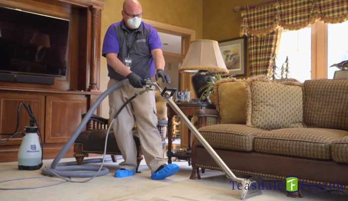 Professional worker cleaning carpet