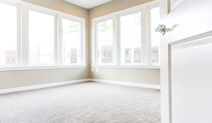 Clean carpet in an empty sunlit room