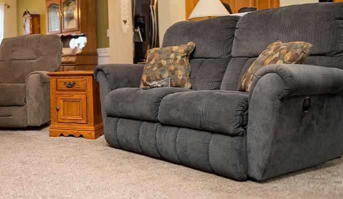 Clean upholstery in a living room