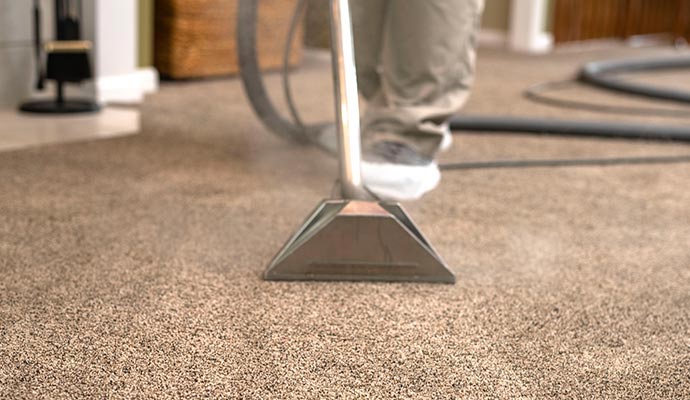 A technician steam cleaning a carpet with a professional extraction tool