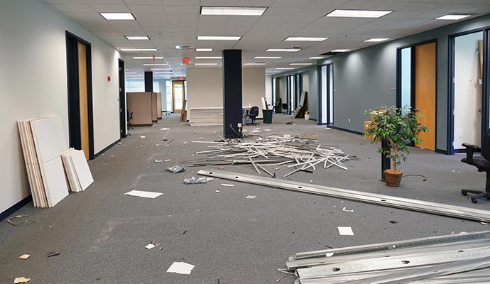 Professional reconstruction service