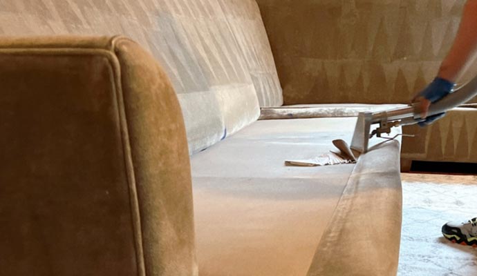 Professional upholstery cleaning service