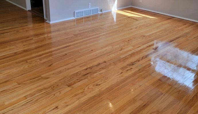 Deeply cleaned hardwood floor