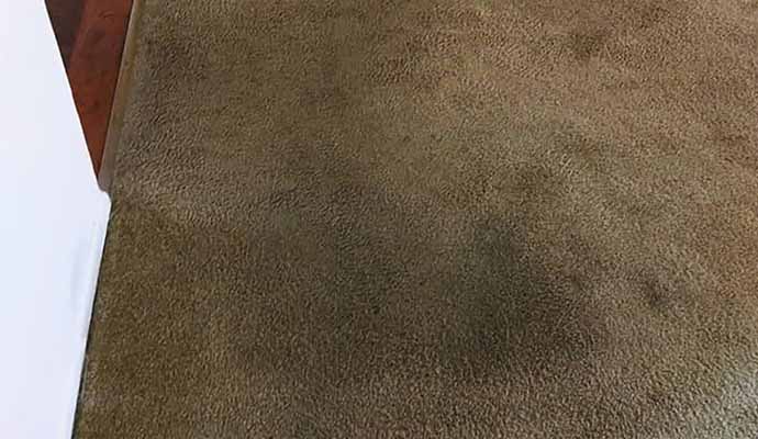 Dirty carpet on floor