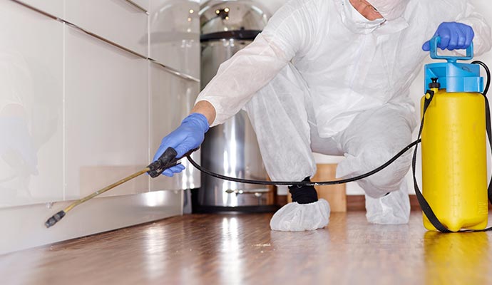 A professional wearing safety gear disinfecting an area