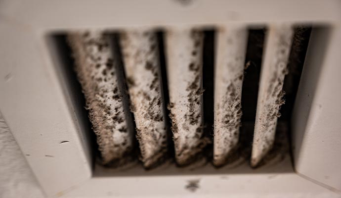 Visible mold on air vent cover