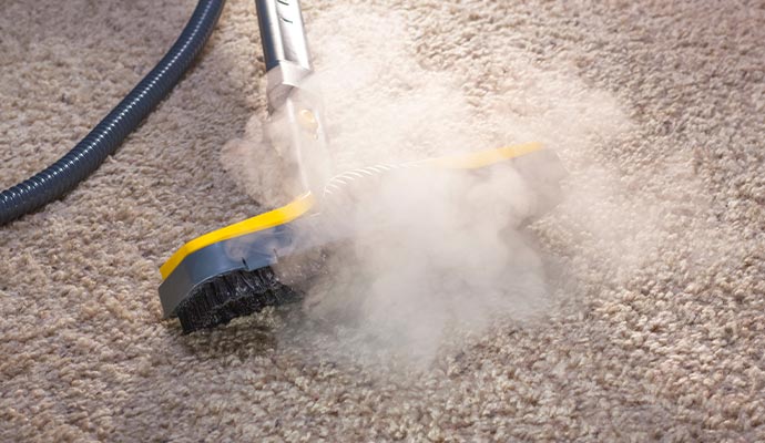 Dust mite cleaning service