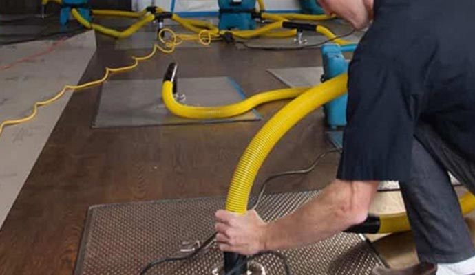 Professional worker conducting water removal process