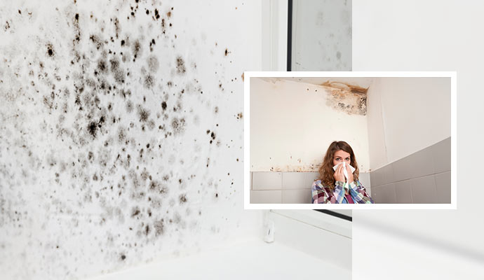 Black mold on white wall