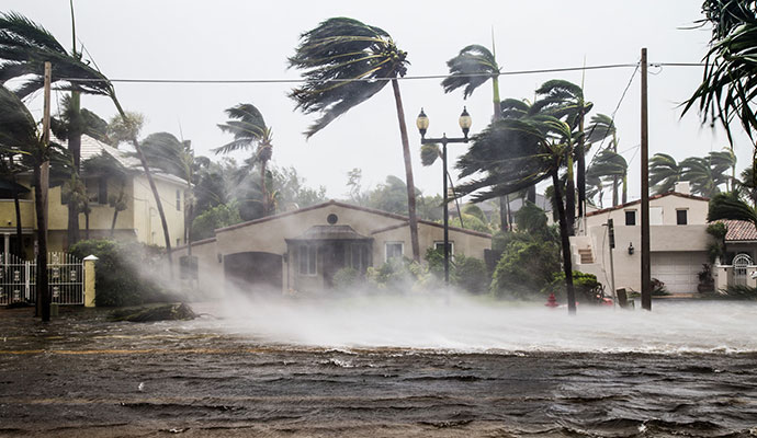 Hurricane damage