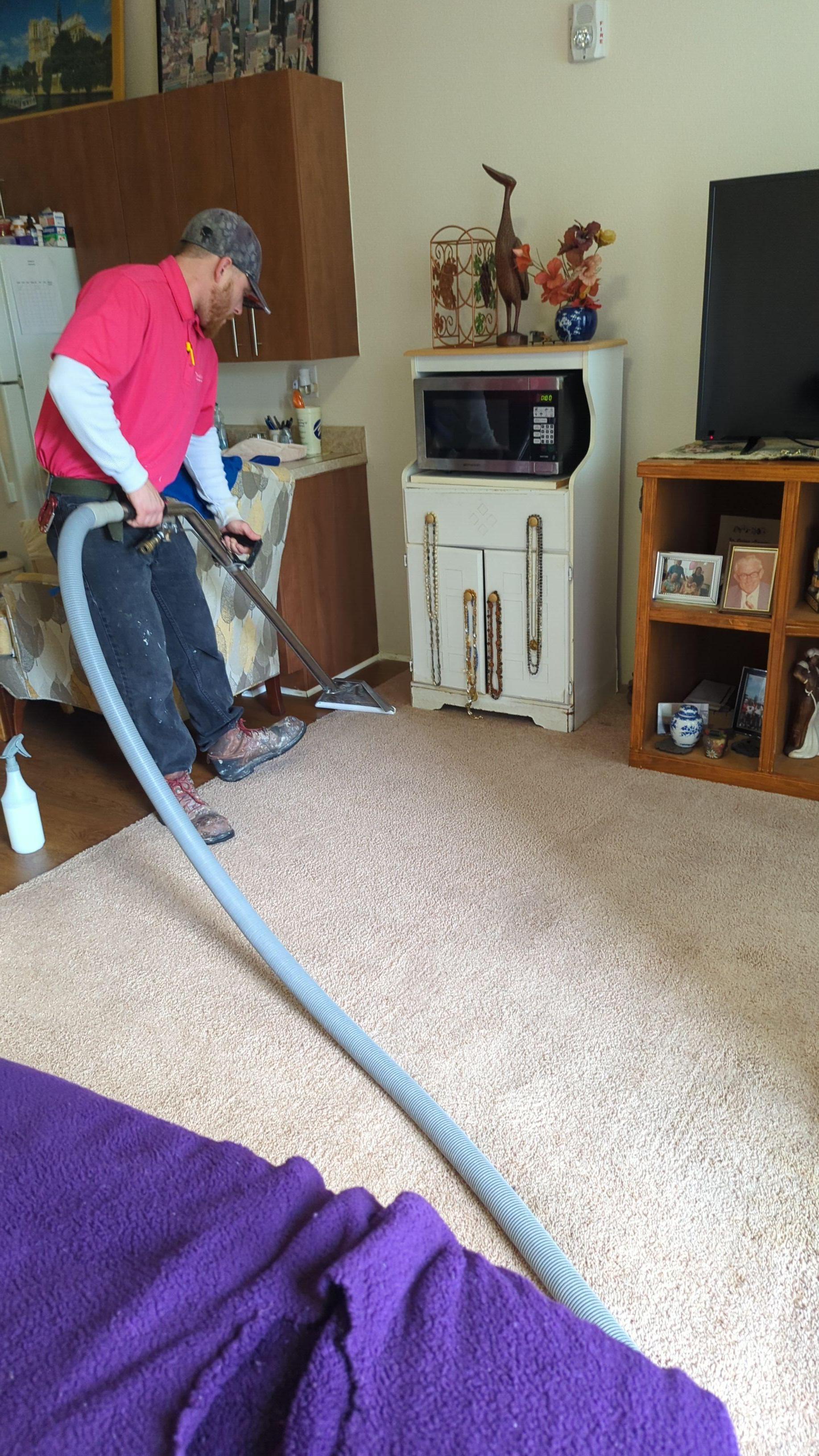 Expert technician performing thorough carpet water extraction and cleaning after water damage in a Sarasota home