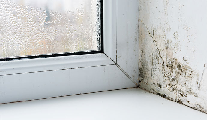 Early Warning Signs of Water Damage
