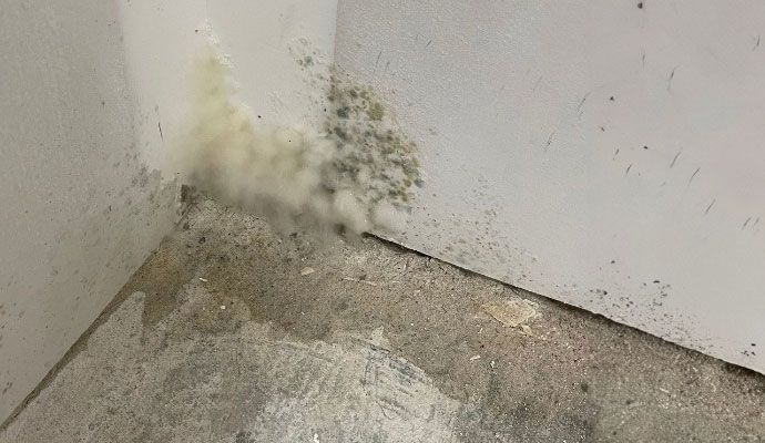 Mold growth due to water damage