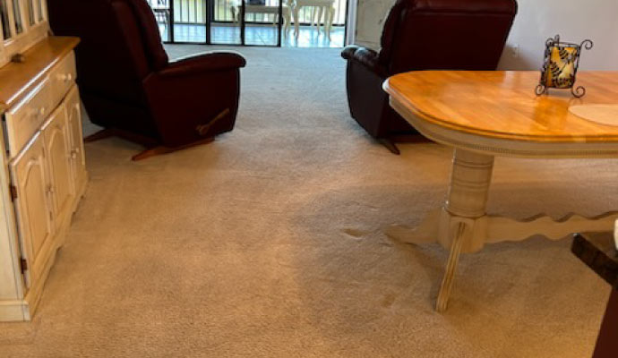 Dirty carpet on the floor