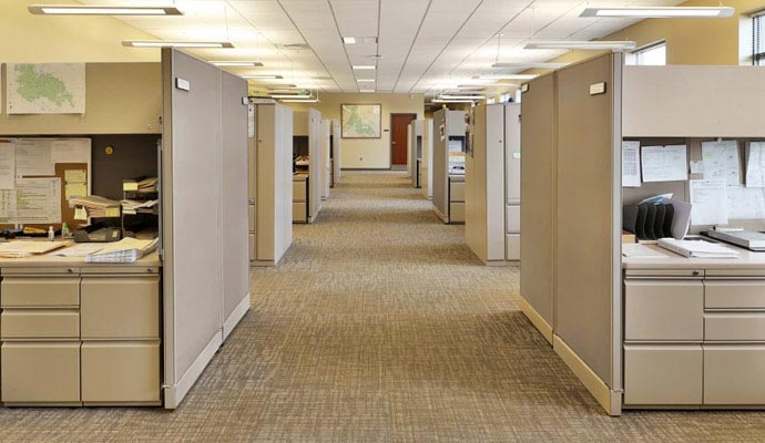 Rows of professional office cubicles with clean beige commercial carpeting and overhead lighting