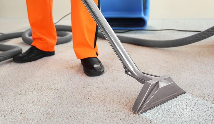 Person cleaning carpet with vacuum cleaner