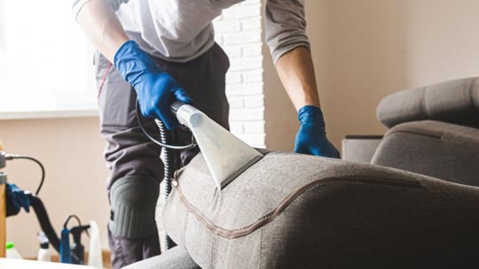 Professional worker cleaning upholstery