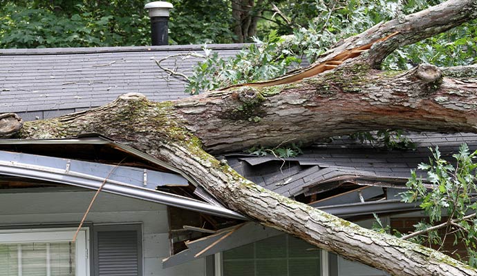 Fallen tree on a residential house roof