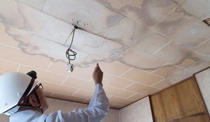 Person inspecting roof