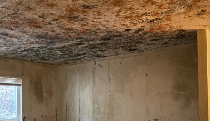 Mold damaged ceiling