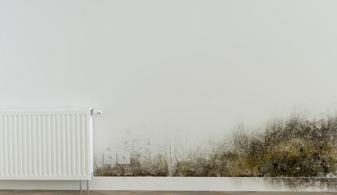 Mold in HVAC