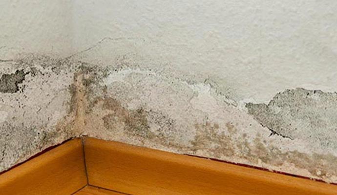 Close up view of a wall with structural damage due to water leak