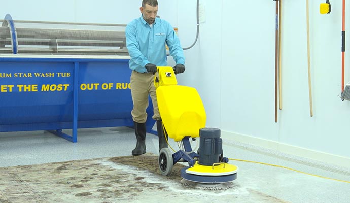 Professional rug cleaning service