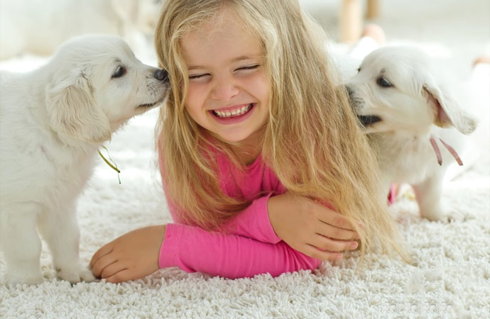 Types of Rug We Clean in Greater Sarasota, FL