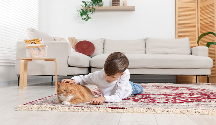 Clean area rug safe for pets and children