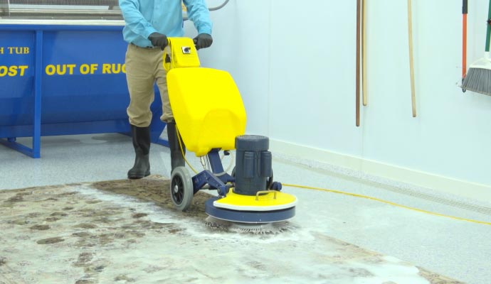 Professional rug cleaning