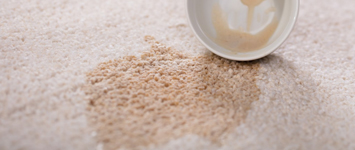 Carpet Stain Removal
