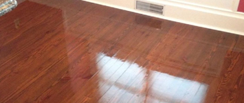 Wood Floor Cleaning