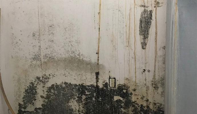 Severe black mold on water damaged wall