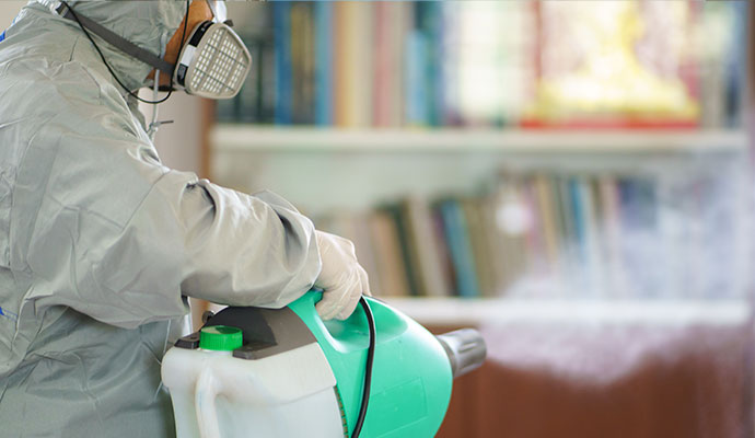 Professional smoke odor removal service