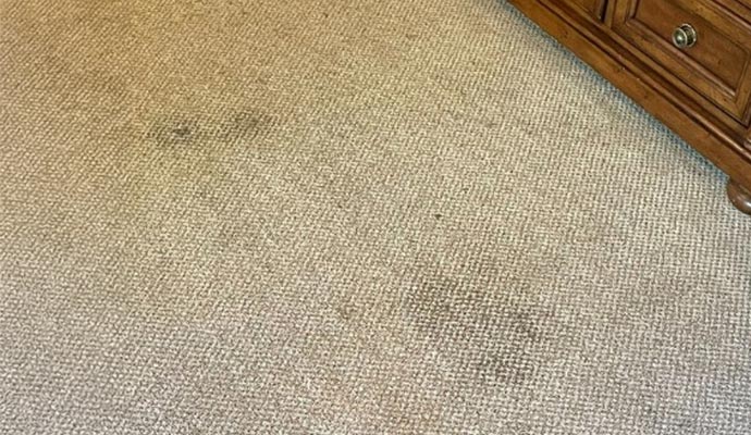 stain-on-carpet