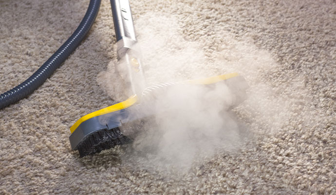 Person cleaning carpet using steam cleaner