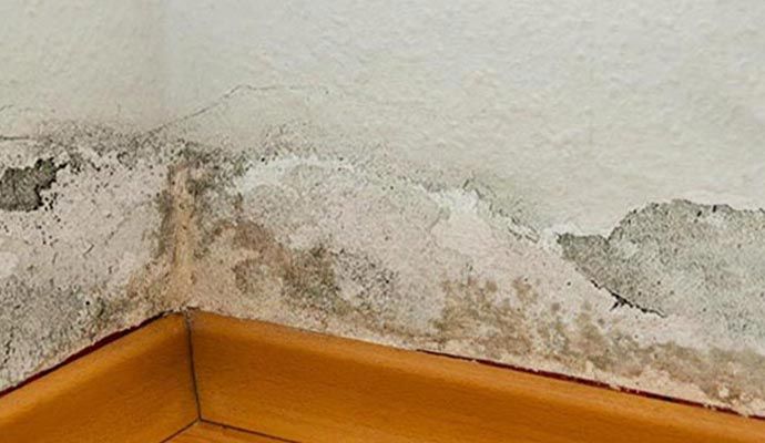 Wall structural damaged due to water leak