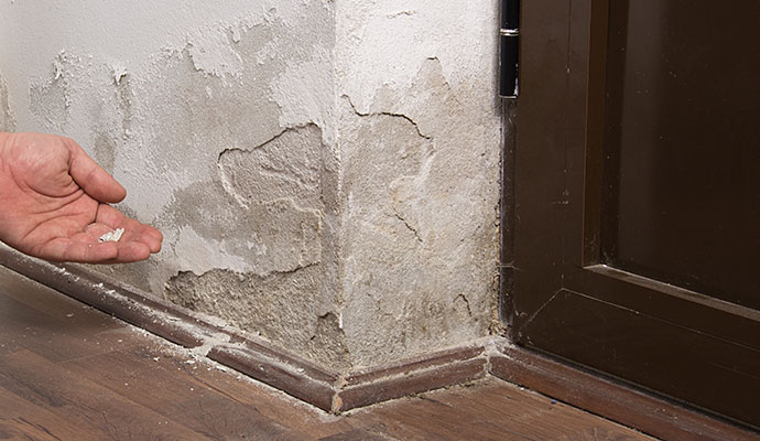 An expert inspecting a structural damaged wall caused by water