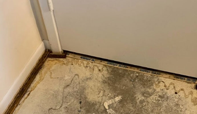 structure dying process