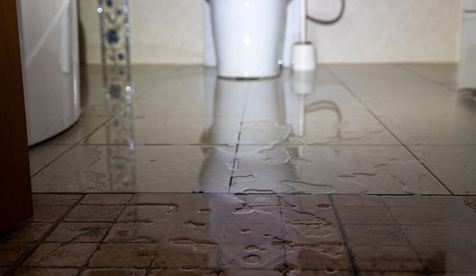 Toilet backup overflow