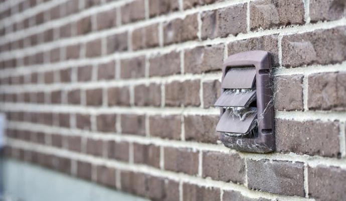Visible dust and lint on the dryer vent