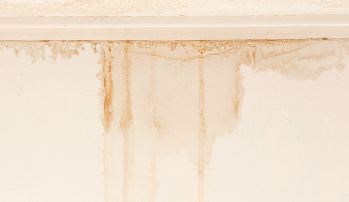 Signs You May Have Hidden Water Leaks