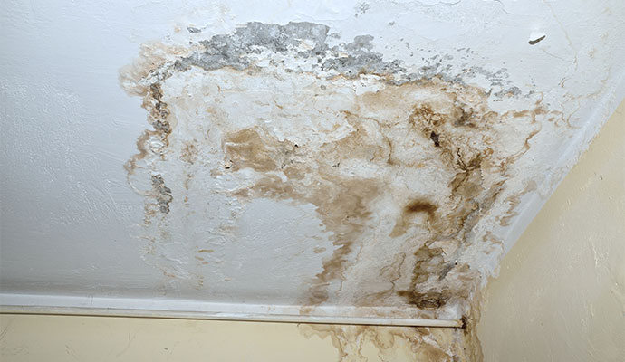 Water damaged ceiling with peeling paint